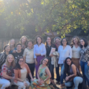 Workshop at Instituto Virgolim – Focus on Giftedness and High Abilities (DF, Brazil)