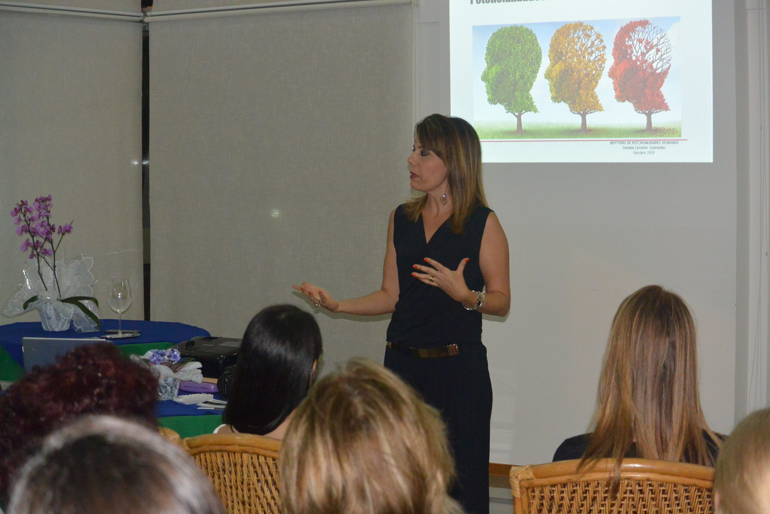 Lecture: Enhancing Cognition in the Elderly in Campo Grande (MS, Brazil)  (October 27, 2015)